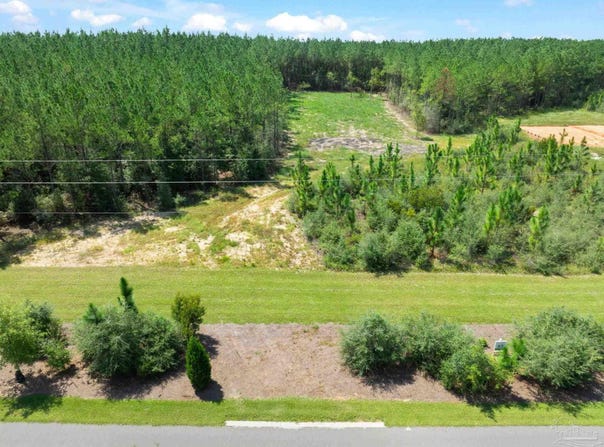 63 Naturewalk Dr, Pace, FL 32571