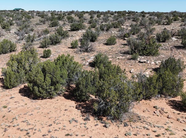 N Mountain Highlands Boulevard, Snowflake, AZ 85937