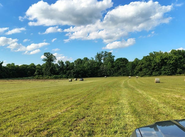 LOVELACE CROSSING Rd, Henning, TN 38041