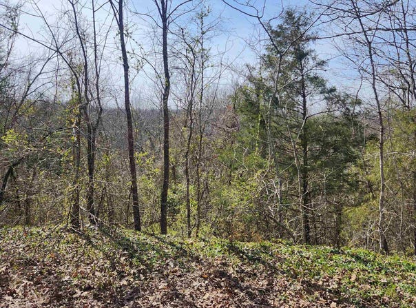 L-3, B-24 Algonquin Circle, Cherokee Village, AR 72529