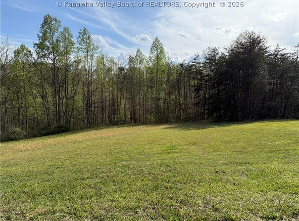 219 Wallace Drive, Milton, WV 25541