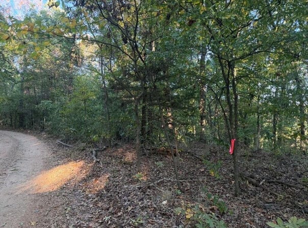 Skylark Road, Washburn, MO 65772