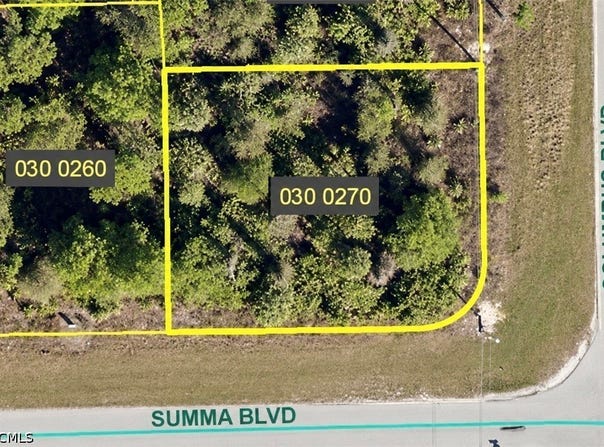 352 Columbus Boulevard, Lehigh Acres, FL 33974