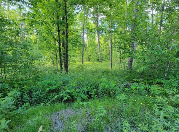 ON BRADY LN, Elcho, WI 54428