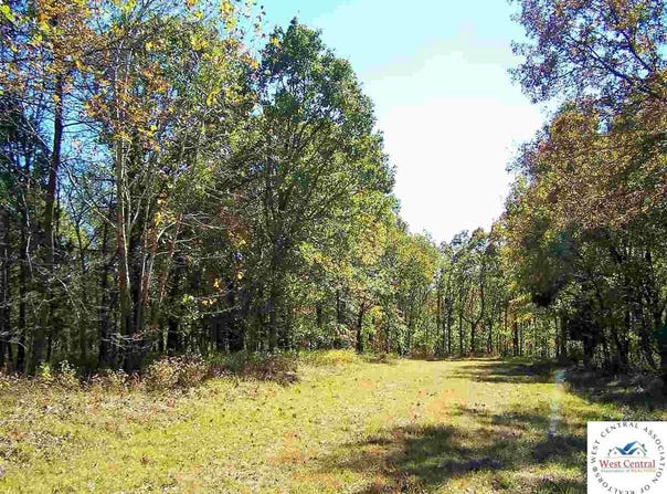 Rodberg Place lot: 4149, Edwards, MO 65326