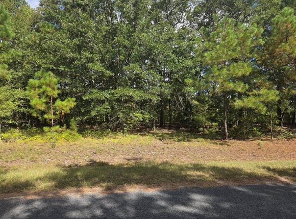 0 Prospect Street, Bowman, SC 29018
