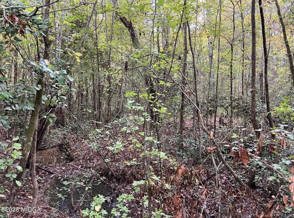Clinton Crossing Drive, Gray, GA 31032