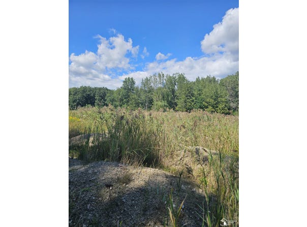 19330 Gudith Road, Trenton, MI 48183-1571