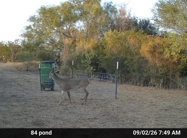 Tract 2 FM 2687, Zapata, TX 78076