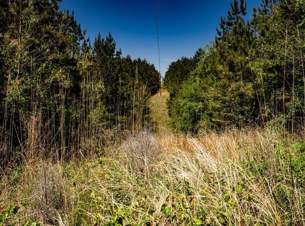 Burntfields Rd, Fulton, MS 38843