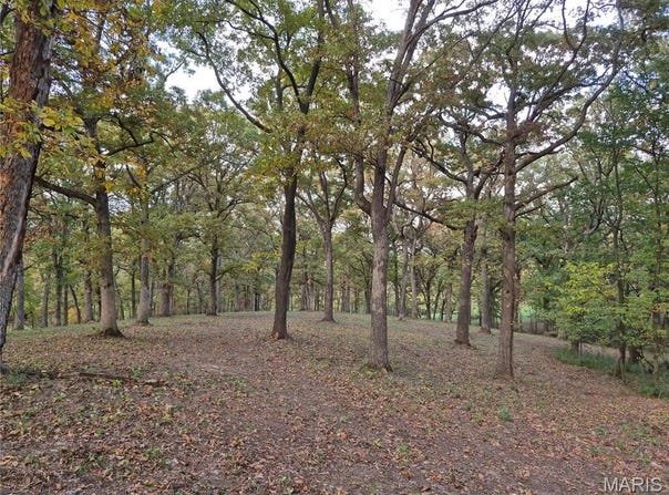 0 Highway D - Tract 5a (14+/- Acres), Eolia, MO 63344
