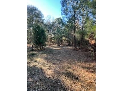 275/276 Sunset, Georgetown, GA 39854