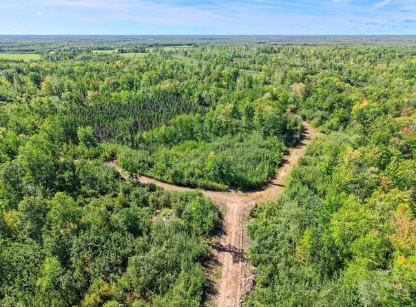 Fleming Logging Road, Hinckley, MN 55037