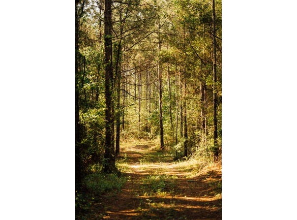 A Busby Rd, ELLISVILLE, MS 39437