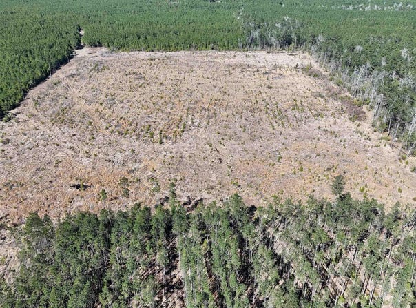 kansas, Gurdon, AR 71743