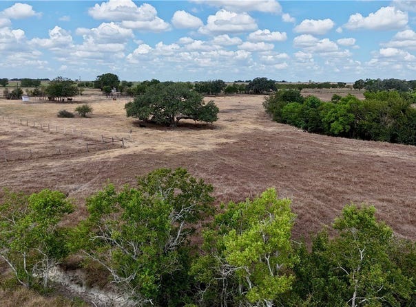 Tract 3 County Road 366, Shiner, TX 77984