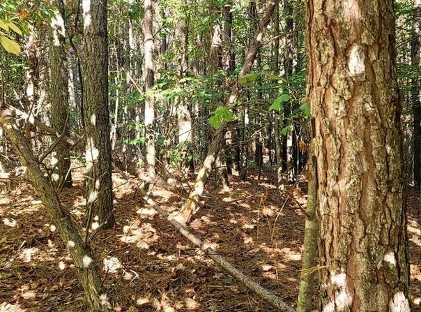 Sunset lot: 539, Spencer, TN 38585