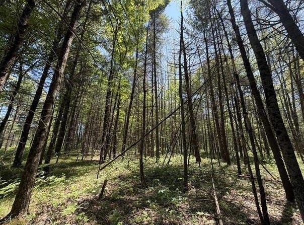 V/L US-10, PLEASANT PLAINS TWP, MI 49642