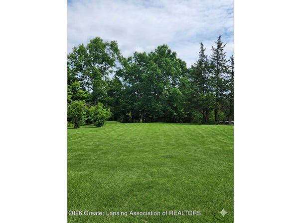 6980 Bowerman Road, Horton, MI 49246