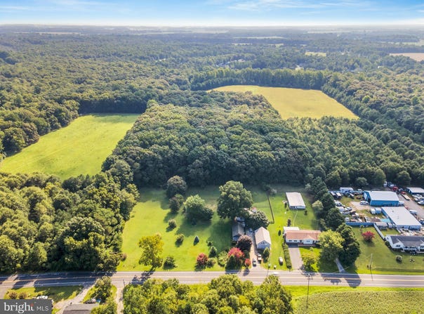 10217 CLENDANIEL POND Road, LINCOLN, DE 19960
