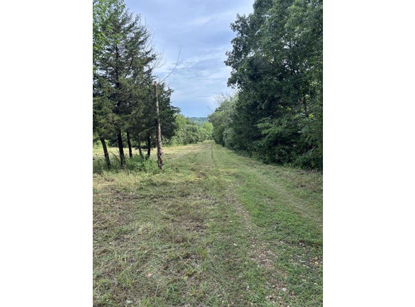 Highway T, Weaubleau, MO 65774