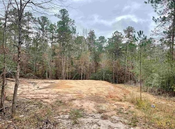 145 Aztec Lane, Brookeland, TX 75931