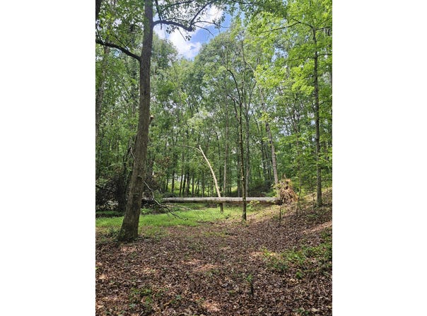Pineywood Drive, Ringgold, GA 30736