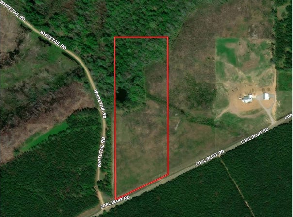 1331 Coal Bluff RD, Lena, MS 39094