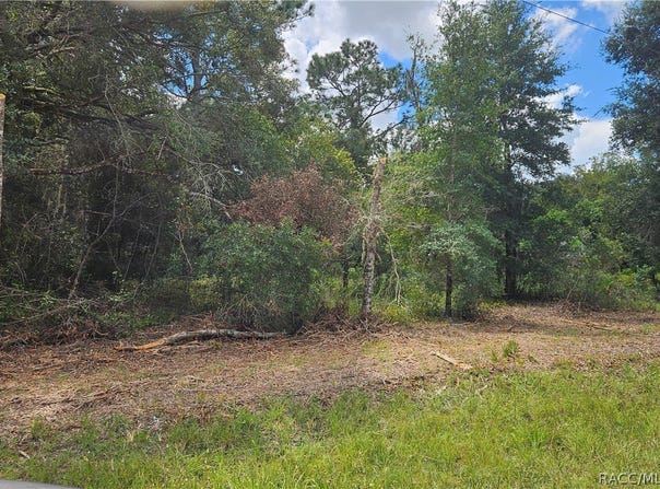 34030 Long Circle, Webster, FL 33597
