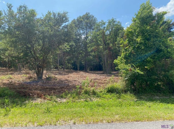 18377 Amite Acres Dr, Prairieville, LA 70769