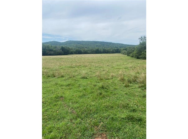 HWY 215, Oark, AR 72852