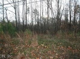 9028 Barnes Road, Toano, VA 23168
