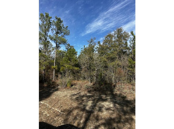Valiant Drive, Chipley, FL 32428