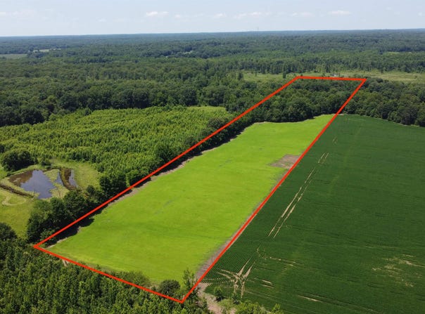 20 ACRES LIBERTY Rd, Moscow, TN 38057
