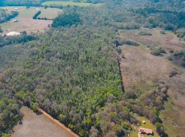 CR 4308 Reno Rd, Naples, TX 75568