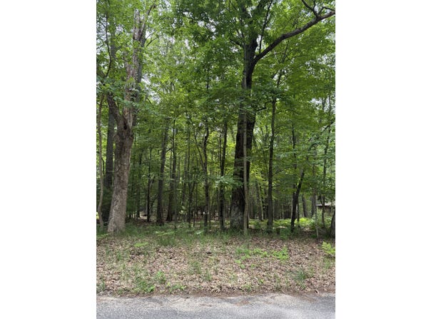 Wayne Road lot: 127, Pentwater, MI 49449