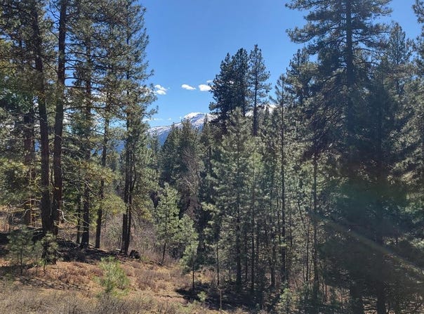 Point Lane, Cascade, ID 83611