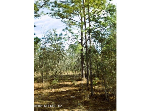 NE 3RD Place, Williston, FL 32696