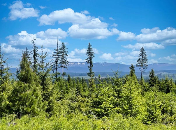 Timberline Heights, Parcel 4, Weippe, ID 83553