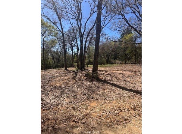 4 Lakeview Circle, Hilltop Lakes, TX 77871