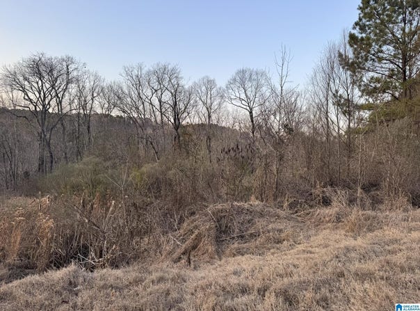 868 HOOVER ROAD lot: 0, QUINTON, AL 35130