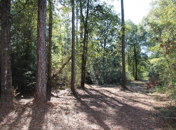 E Chapel Road, Laurel Hill, FL 32567