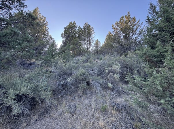 Wasco Street, Sprague River, OR 97639