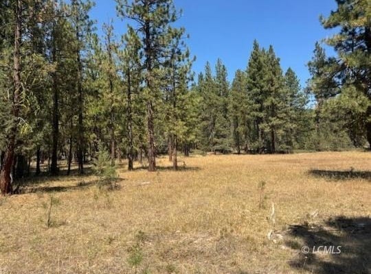 Whitetail Lane, Bonanza, OR 97623