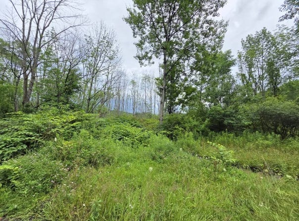 L28.03 Halbert Hill Rd, Butternuts, NY 13809