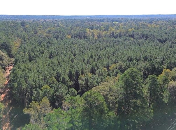 PARCEL#11405 CR 2265, Grapeland, TX 75844