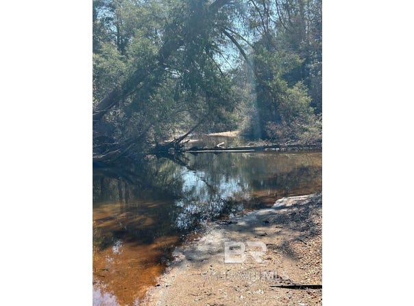 Wolf Log Road, Flomaton, AL 36441