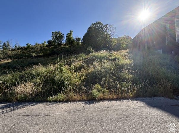 657 N LOCHWOOD Vw, Garden City, UT 84028