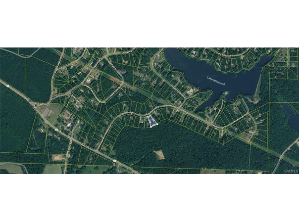 Ashborough Drive lot: 117, Cottondale, AL 35453