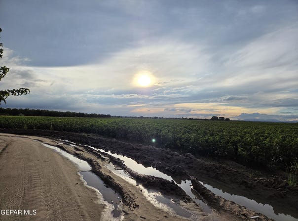 PN-408280 Alameda, Fabens, TX 79838